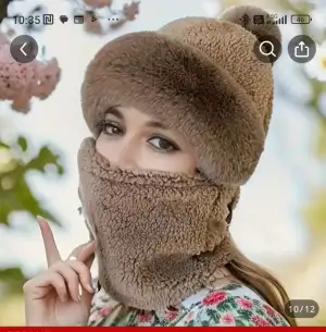 Screenshot_2024-11-25-10-35-38-615-edit_com.einnovation.temu.webp