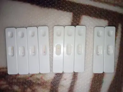 1000031310.webp