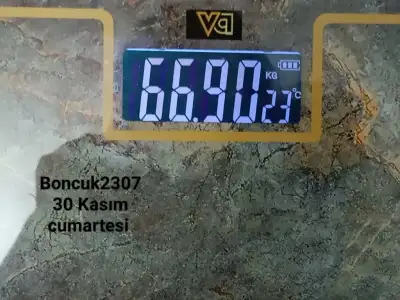 1000029647.webp