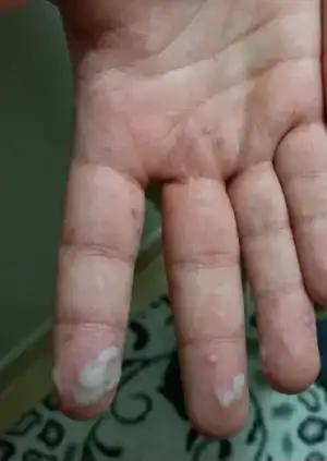 Screenshot_20241202_010356_Gallery.webp