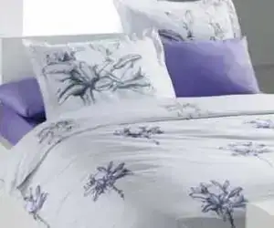 $sarev elegance ikara.webp