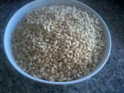 $Fotoğraf1566.webp $Fotoğraf1566.webp