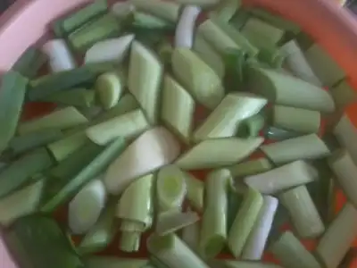 $Fotoğraf1575.webp $Fotoğraf1575.webp