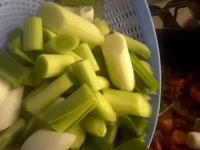 $Fotoğraf1588.webp $Fotoğraf1588.webp