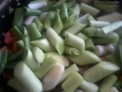 $Fotoğraf1590.webp $Fotoğraf1590.webp