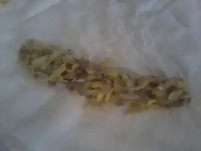 $Fotoğraf1667.webp $Fotoğraf1667.webp