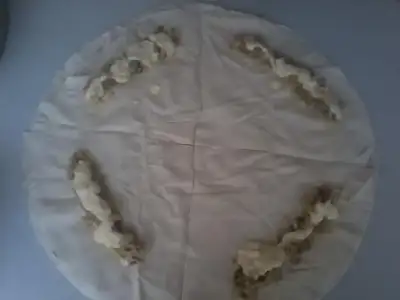 $Fotoğraf1668.webp $Fotoğraf1668.webp