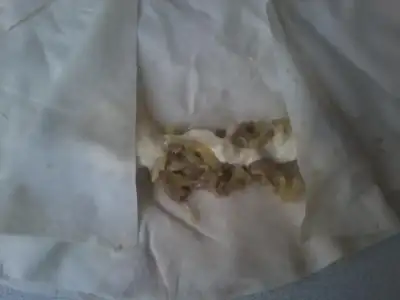 $Fotoğraf1671.webp $Fotoğraf1671.webp