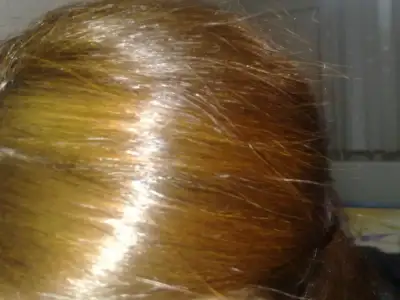 $131020121917.webp