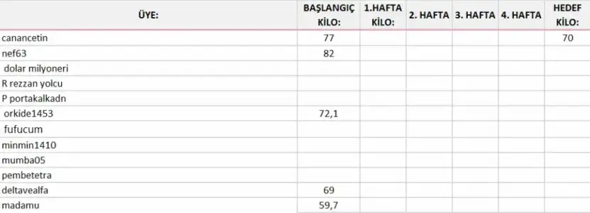 Ekran görüntüsü 2024-12-05 110027.webp