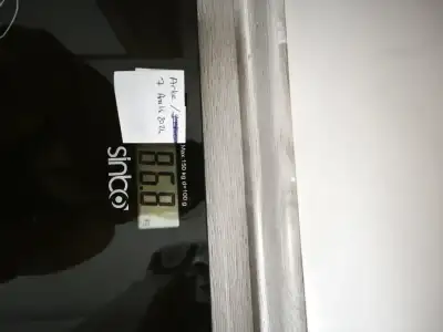 1000001550.webp