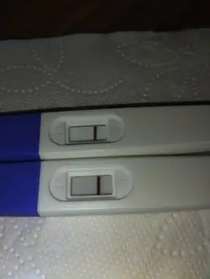 1000717533 (2).webp