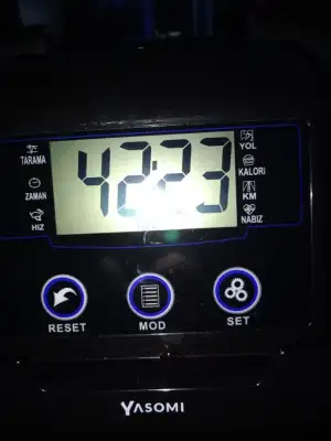1000030481.webp