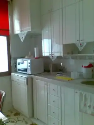 $20062010(001).webp