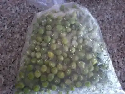 $Fotoğraf1703.webp $Fotoğraf1703.webp