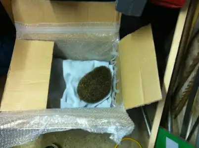 $8p.webp
