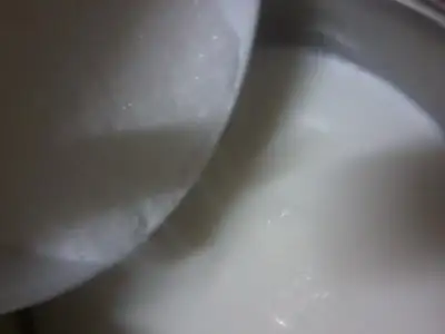 $Fotoğraf1744.webp $Fotoğraf1744.webp