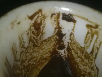 $141020122060.webp
