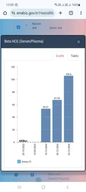 Screenshot_20241223_130042_Chrome.webp