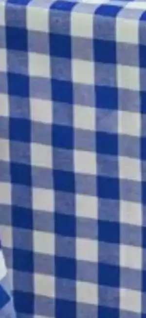 1000037869.webp