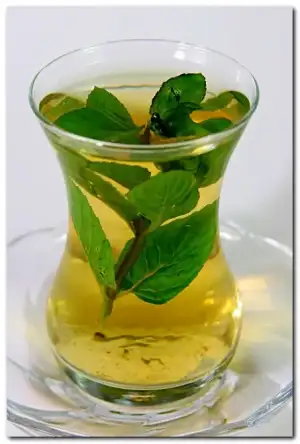 $yesil-cay-nasil-icilir1.webp