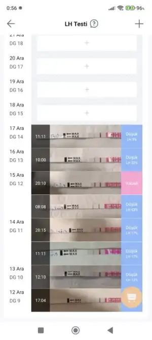 Screenshot_2024-12-30-00-56-26-118_com.lollitech.connect.webp
