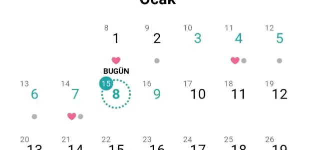 Screenshot_20250108_191304.webp