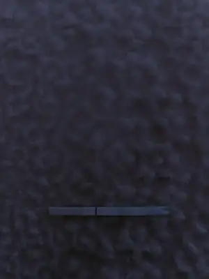 1000060911.webp