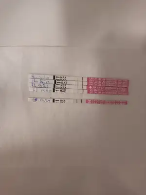 17366631778673395482108012904282.webp