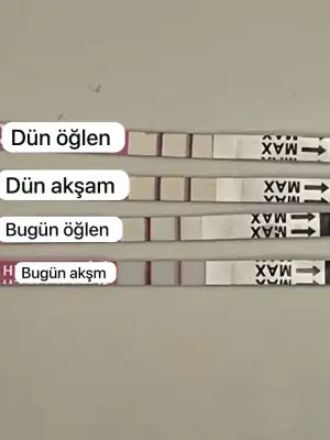 ae2db867-7b31-4a5c-997f-a1b6bc8a635c.webp