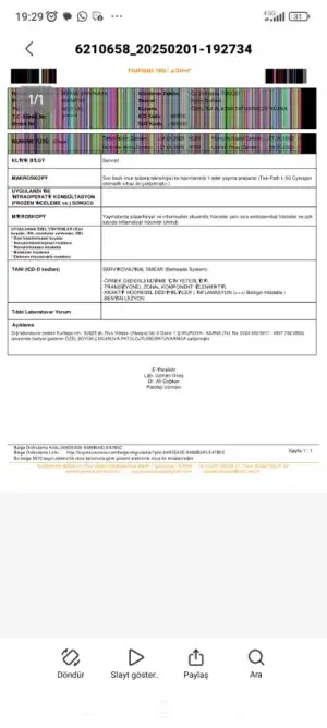 Screenshot_2025-02-01-19-29-25-544_com.mi.globalbrowser.webp