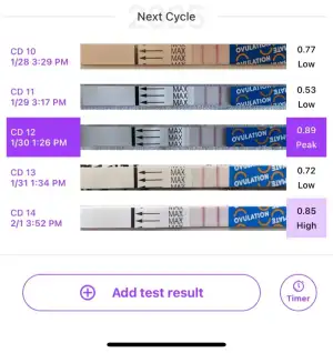 WhatsApp Image 2025-02-01 at 16.01.03.webp