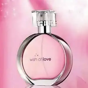 $wish of love-500x500.webp