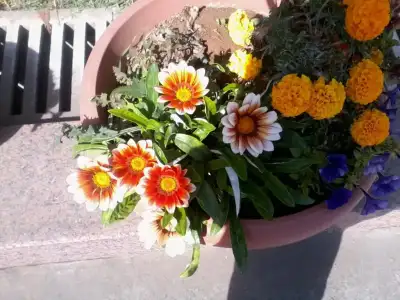 $Fotoğraf0110.webp $Fotoğraf0110.webp