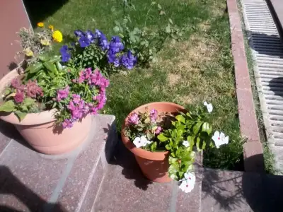 $Fotoğraf0111.webp $Fotoğraf0111.webp