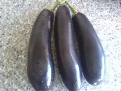 $Fotoğraf1856.webp $Fotoğraf1856.webp