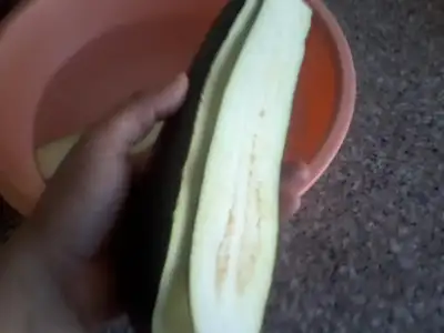 $Fotoğraf1857.webp $Fotoğraf1857.webp