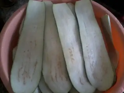 $Fotoğraf1859.webp $Fotoğraf1859.webp