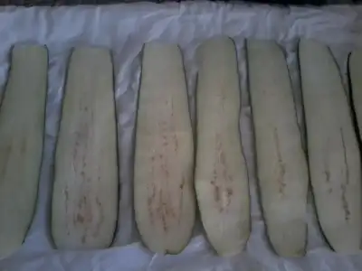 $Fotoğraf1874.webp $Fotoğraf1874.webp