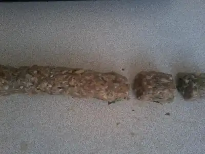 $Fotoğraf1892.webp $Fotoğraf1892.webp