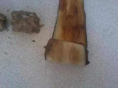 $Fotoğraf1894.webp $Fotoğraf1894.webp