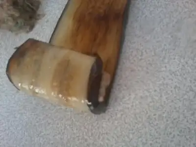 $Fotoğraf1895.webp $Fotoğraf1895.webp