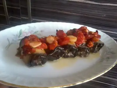 $Fotoğraf1969.webp $Fotoğraf1969.webp