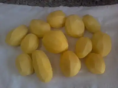 $Fotoğraf1926.webp $Fotoğraf1926.webp