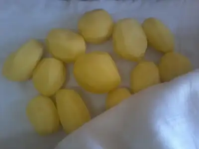 $Fotoğraf1927.webp $Fotoğraf1927.webp