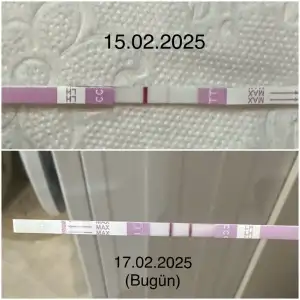 C89E73DC-CE64-4D15-8A05-78BD52B8A10D-22558-0000131DF2FD26A9.webp