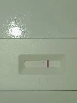 17398973619936962484406138015414.webp