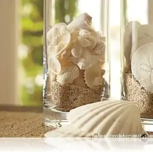 a281db1f64711c99087d0060c472ae24--shells-and-sand-sea-shells.webp
