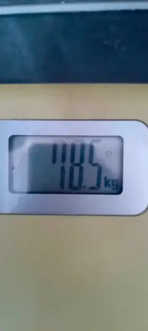 1000025917.webp