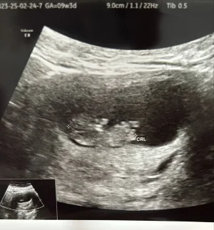 WhatsApp Image 2025-02-27 at 19.20.20.webp